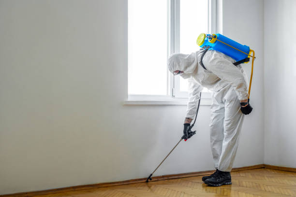 Best Pest Prevention Services  in Indian Harbour Beach, FL